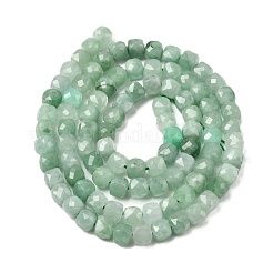 Natural Jadeite Beads Strands&nbsp;G-P603-B01-01