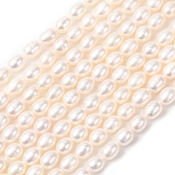 Natural Cultured Freshwater Pearl Beads Strands&nbsp;PEAR-F020-01B