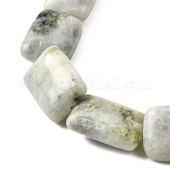 天然中国南部翡翠ビーズ連売り  長方形  18x13x5.5mm  穴：1mm  約11個/連  7.68''~7.87''（19.5~20センチメートル）&nbsp;G-S386-A17