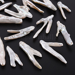 ナチュラルケシパールビーズ  養殖淡水パール  穴なし/ドリルなし  鶏の足  貝殻色  32~50x9~25x4~8mm&nbsp;PEAR-N020-P01