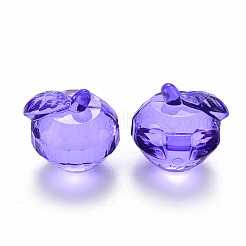 Transparent Acrylic Pendants&nbsp;TACR-T024-05B-936