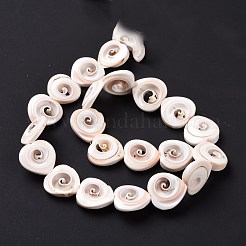 天然石スパイラルシェルビーズ連売り  ハート  貝殻色  20x20x6mm  穴：0.6mm  約21個/連  15.94''（40.5センチメートル）&nbsp;SSHEL-G023-06