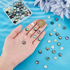 90Pcs 3 Colors Acrylic Imitation Shell Cabochons&nbsp;MACR-PH0001-65A