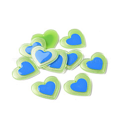 Acrylic Pendants&nbsp;FIND-A022-04F