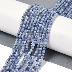 Natural Blue Spot Jasper Beads Strands&nbsp;G-A252-A02-02