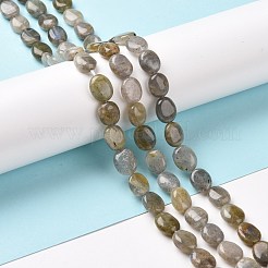 天然石ラブラドライトビーズ連売り  オーバル  9~11x8~8.5x4.5~5mm  穴：0.8mm  約39個/連  15.55インチ（39.5cm）&nbsp;G-C238-37