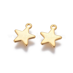 304 Stainless Steel Charms&nbsp;STAS-G190-27G-A