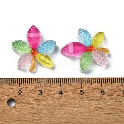 Transparent Epoxy Resin Decoden Cabochons&nbsp;CRES-I030-12A