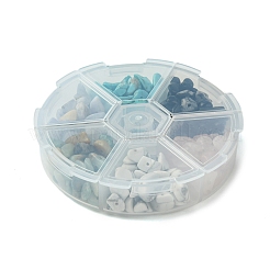 60G 6 Styles Natural & Synthetic  Gemstone Beads Chips&nbsp;G-FS0005-80