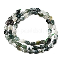 Natural Moss Agate Beads Strands&nbsp;G-B159-A09