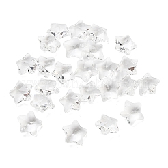 クリアガラスペンダント  多面カット  スターのチャーム  透明  13x13.5x7mm  穴：1mm&nbsp;GLAA-P037-04-16