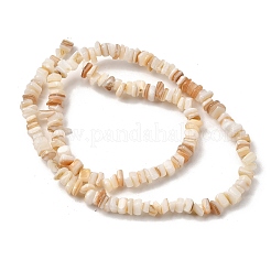 天然淡水シェルビーズ連売り  ナゲット  貝殻色  4~11x4.5~6x1~5mm  穴：1mm  15.43~15.67''（39.2~39.8センチメートル）&nbsp;SHEL-B003-03