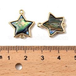 Natural Paua Shell Star Connector Charms&nbsp;KK-G538-42G
