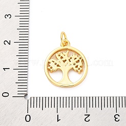 Brass Micro Pave Cubic Zirconia Pendants&nbsp;KK-D325-57G-01