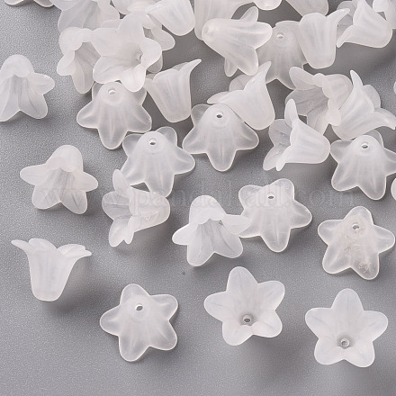 Transparent Acrylic Beads PLF018-01-1