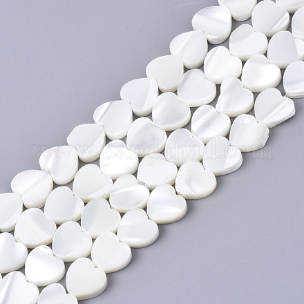 Natural Trochid Shell/Trochus Shell Bead Strands SSHEL-N034-67-1