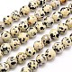 Natural Dalmation Jasper Beads Strands&nbsp;G-G542-10mm-07-1