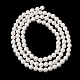 Round Shell Pearl Bead Strands&nbsp;BSHE-L011-4mm-A013A-4