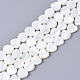 Natural Trochid Shell/Trochus Shell Bead Strands&nbsp;SSHEL-N034-67-1