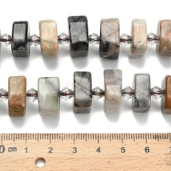 Natural Picasso Jasper Beads Strands&nbsp;G-L642-H06-01