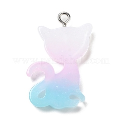 Translucent Resin Pendants&nbsp;RESI-G069-03B