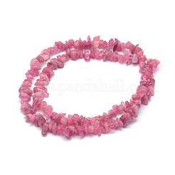 Natural Red Tourmaline Beads Strands&nbsp;G-P332-67
