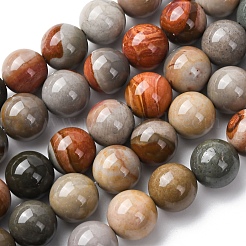 Natural Alashan Agate Beads Strands&nbsp;G-H343-D05-12mm-A