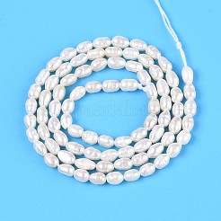 Natural Cultured Freshwater Pearl Beads Strands&nbsp;PEAR-T006-27