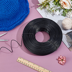 丸鉄線  プラスチックコーティング付き  ガーデニング用品  ブラック  2mm  約180m /ロール&nbsp;FIND-WH0521-182B-01