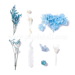 Dried Flowers&nbsp;X-DIY-D052-10