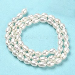 天然養殖淡水パールビーズ連売り  ライス  グレード4a+  パパイヤホイップ  6~8.5x5~5.5mm  穴：0.7mm  約52~55個/連  15.43~15.67インチ（39.2~39.8cm）&nbsp;PEAR-E016-129