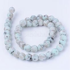Natural Sesame Jasper/Kiwi Jasper Beads Strands&nbsp;G-Q462-10mm-17