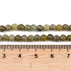 Natural Canada Jade Beads Strands&nbsp;G-B171-B01-4mm