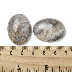 Natural Crazy Agate Cabochons&nbsp;G-C115-01B-33