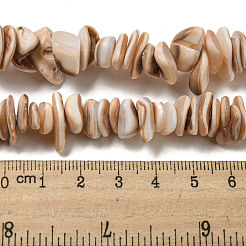 Natural Seashell Shell Beads Strands&nbsp;SSHEL-H072-06