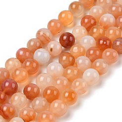 天然石赤瑪瑙ビーズ連売り  ラウンド  12mm  穴：1.2mm  約33個/連  15.35''（39センチメートル）&nbsp;G-A248-A06-04