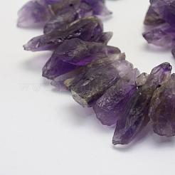 Rough Raw Natural Amethyst Beads Strands&nbsp;G-K202-18
