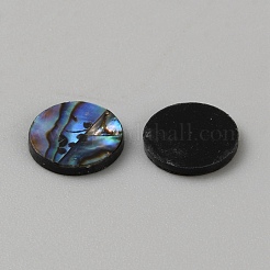 Natural Abalone Shell/Paua Shell Cabochons&nbsp;SHEL-WH0008-04A