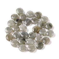 Natural Labradorite Bead Strands&nbsp;G-C116-A10-01
