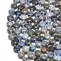 Natural Dumortierite Beads Strands&nbsp;G-C116-A81-02