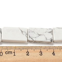 Natural Howlite Beads Strands&nbsp;G-M420-G09-01