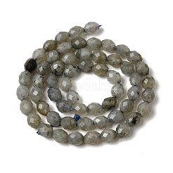 Natural Labradorite Beads Strands&nbsp;G-K376-F07-01