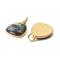 Natural Paua Shell Egg Pendants&nbsp;KK-G538-21G