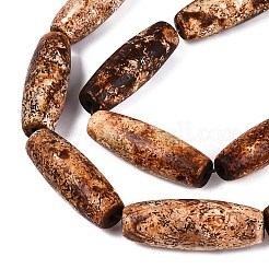Natural Tree Bark Agate Beads Strands&nbsp;G-Q606-23A