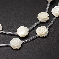 Natural Trochid Shell/Trochus Shell Beads Strands&nbsp;SSHEL-K010-02