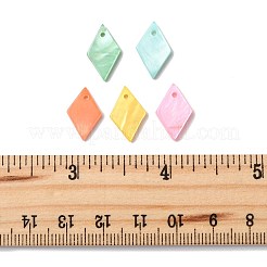 24Pcs 5 Styles Spray Painted Natural Freshwater Shell Pendants&nbsp;BSHE-FS0001-14