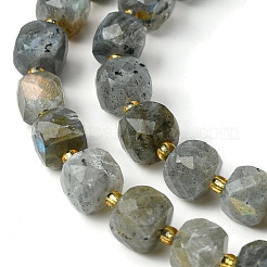 Natural Labradorite Beads Strands&nbsp;G-Q010-A25-01
