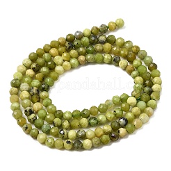 Natural Serpentine Beads Strands&nbsp;G-P603-C-3mm-06
