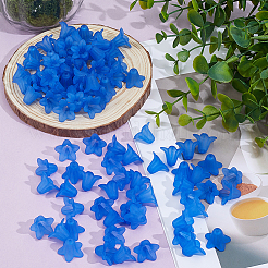 150Pcs Transparent Acrylic Beads&nbsp;OACR-PA0002-05A