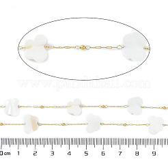 Butterfly Ion Plating(IP) 304 Stainless Steel Chains&nbsp;AJEW-Q150-03G-02